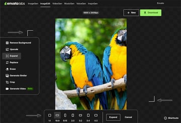 ImageEdits aspect ratios and crop marks