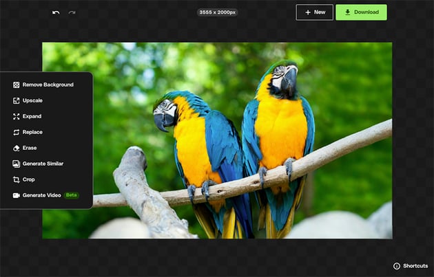 download edited image dimensions