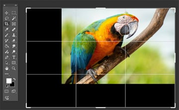 Open image file and crop using Crop Tool C