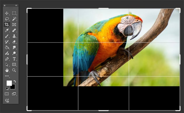 Open image file and crop using Crop Tool C