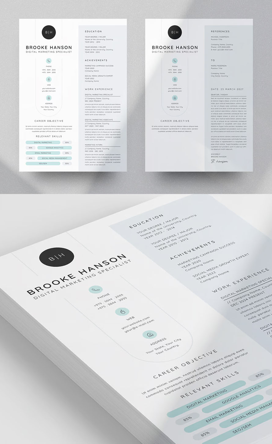 2 Page Resume Design