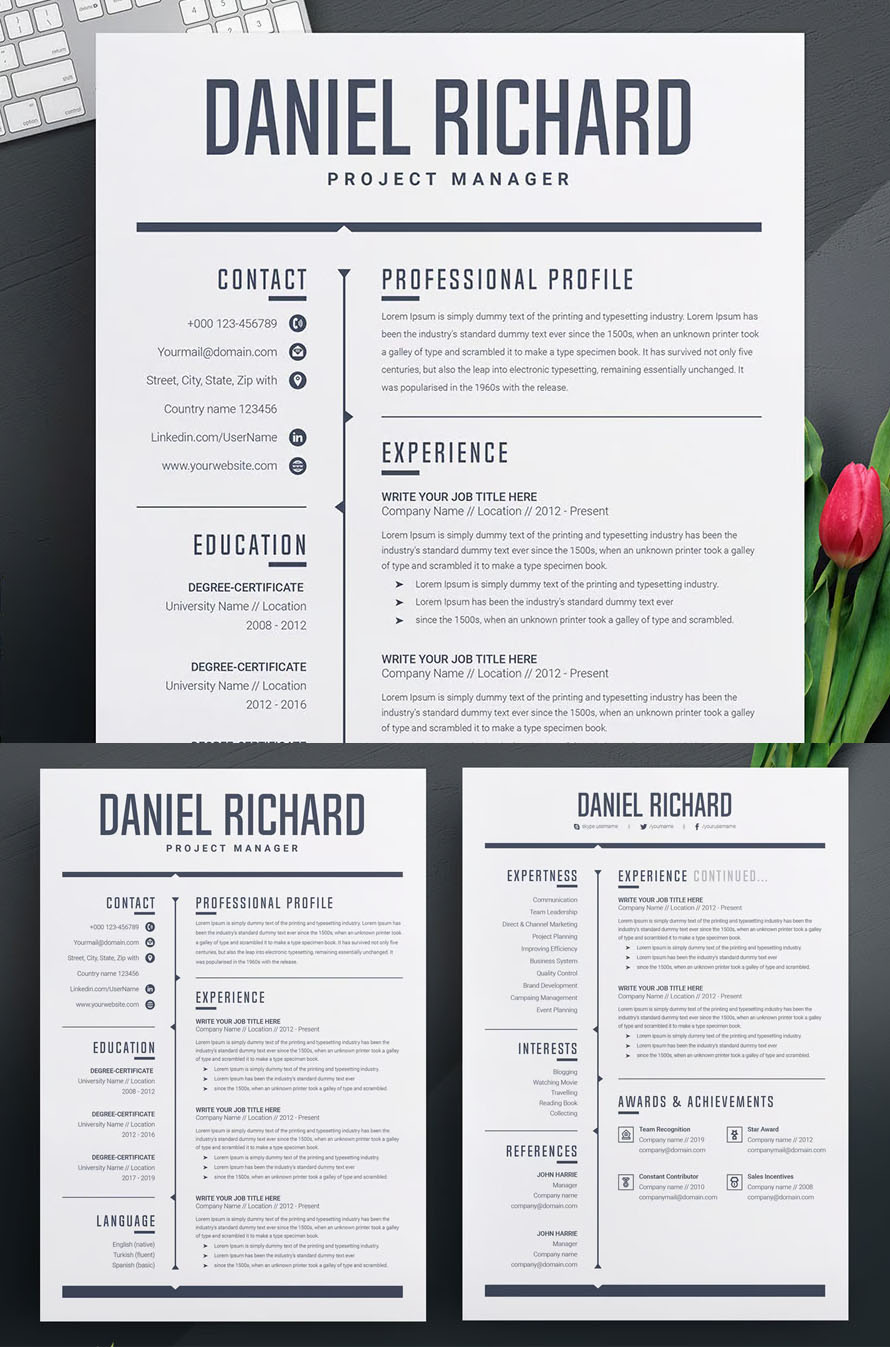 Professional Best Resume CV