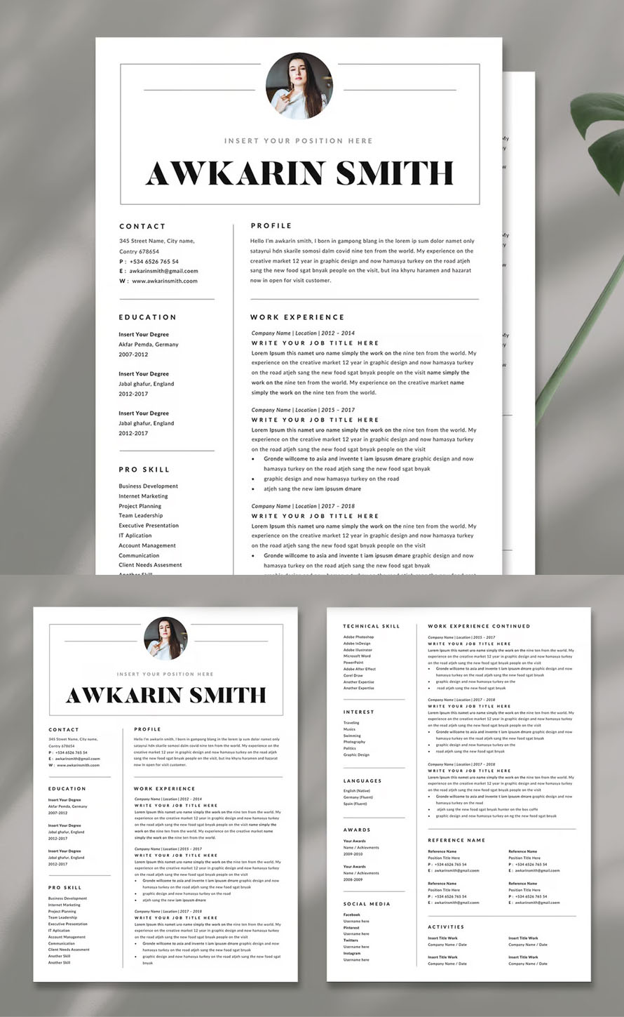 Professional Perfect Resume CV