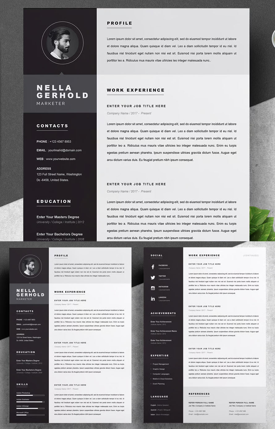 Professional Perfect Resume CV