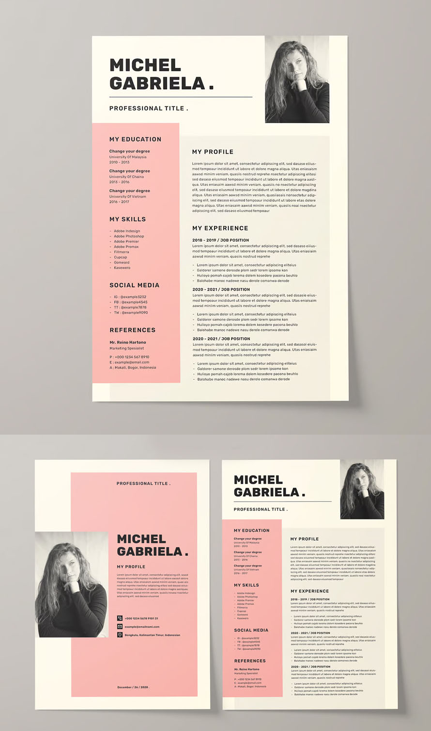 Best Clean Resume CV