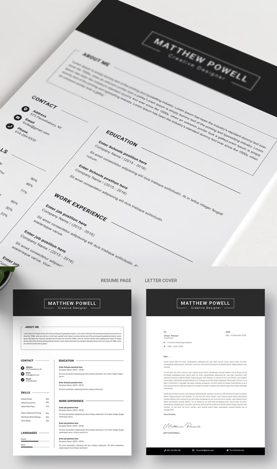 Clean Perfect CV Resume Template