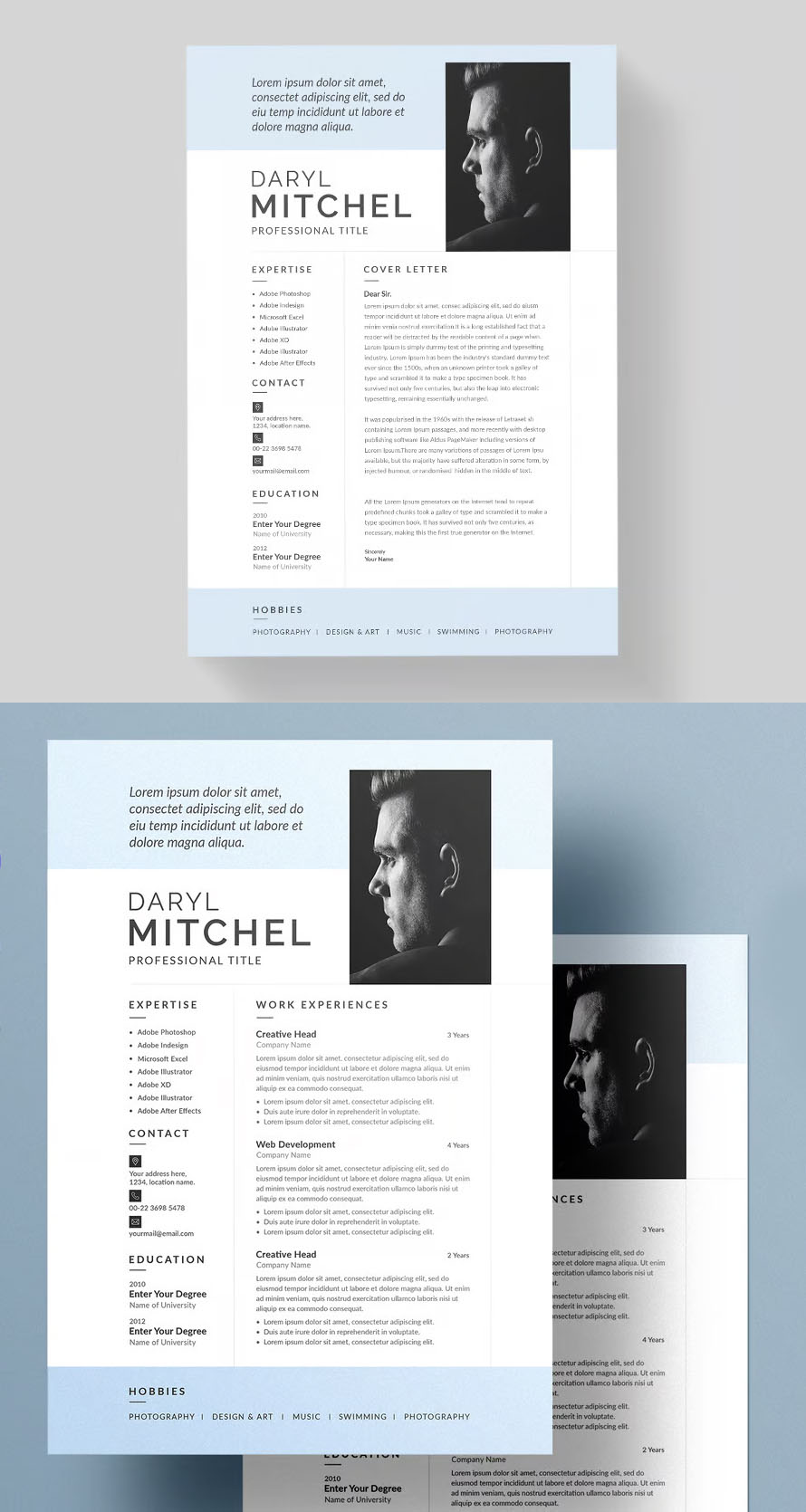 Perfect Stylish Resume CV