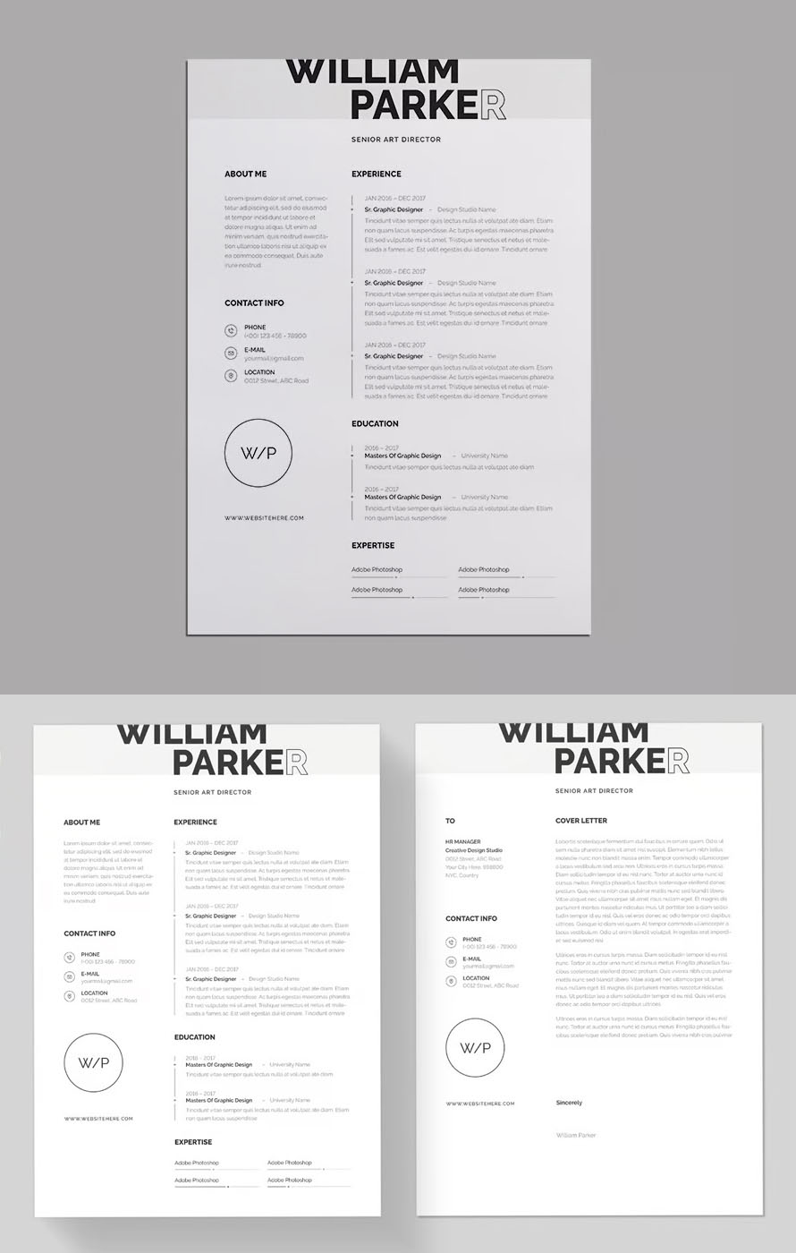 Best Minimal Resume CV
