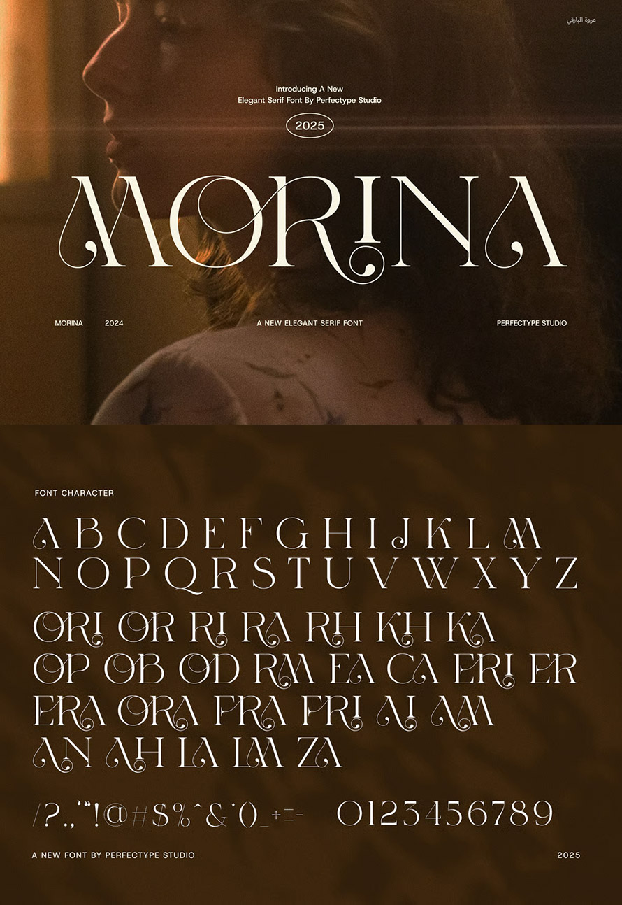 Morina Elegant Serif Font