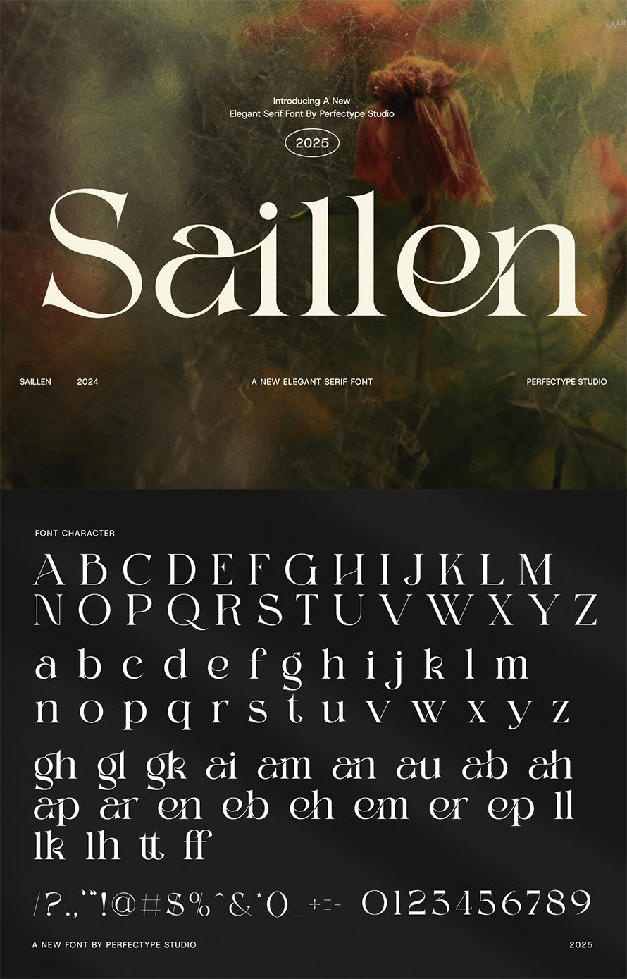 Saillen Elegant Serif Font