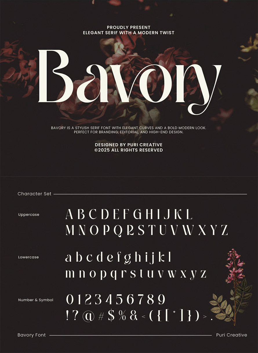 Elegant Serif with a Modern Twist Font