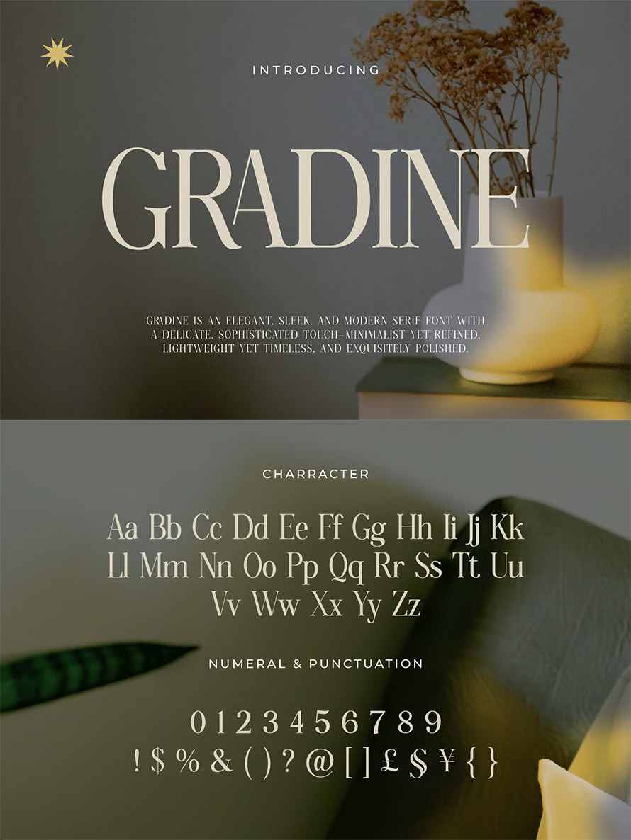 Elegant Ligature Serif Font