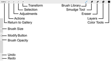 Preview of Procreate interface elements and actions