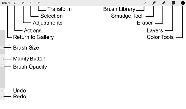 Preview of Procreate interface elements and actions