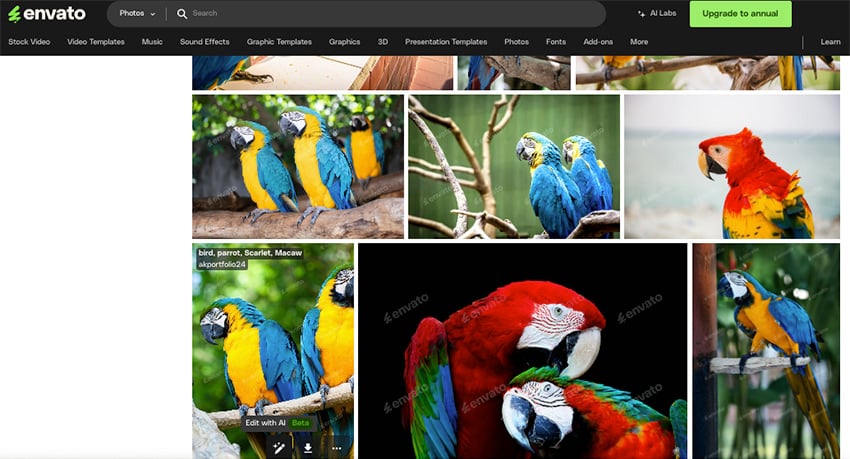 Edit with AI option with Envato
