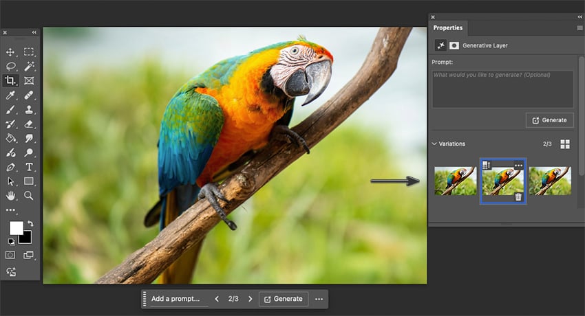 Select preferred review image from generative layer tab in properties panel