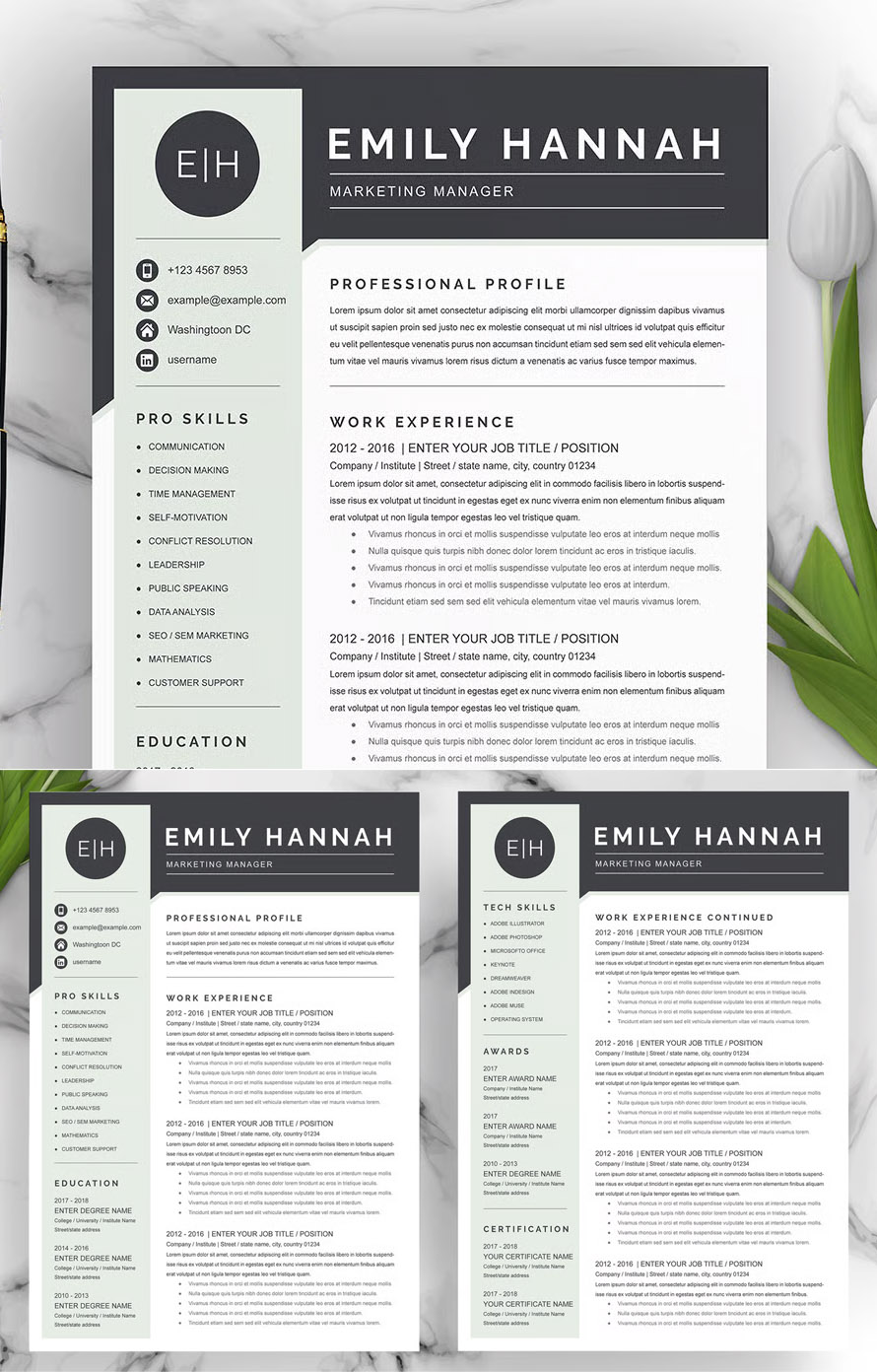 Resume Template for Executive Director