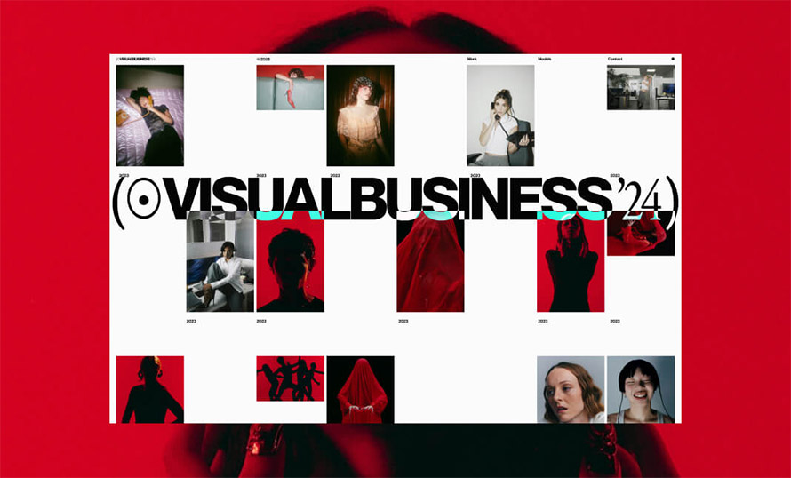 Visualbusiness Website Design