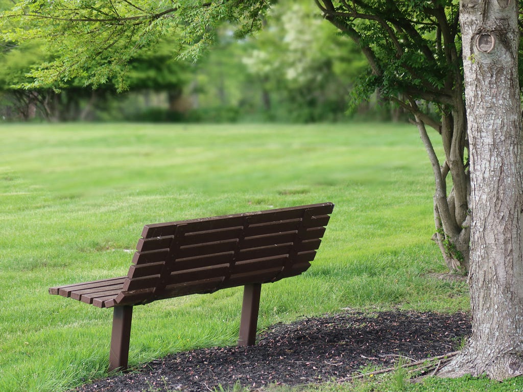 A solitary wooden bench sits on lush, green grass near a tree under leafy branches.