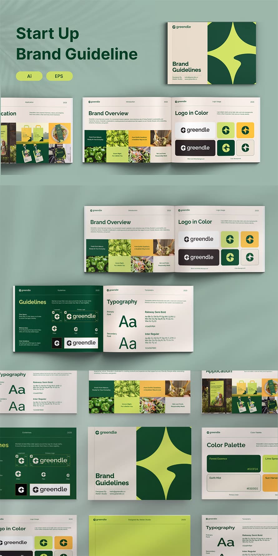 Brand Guideline for Startup