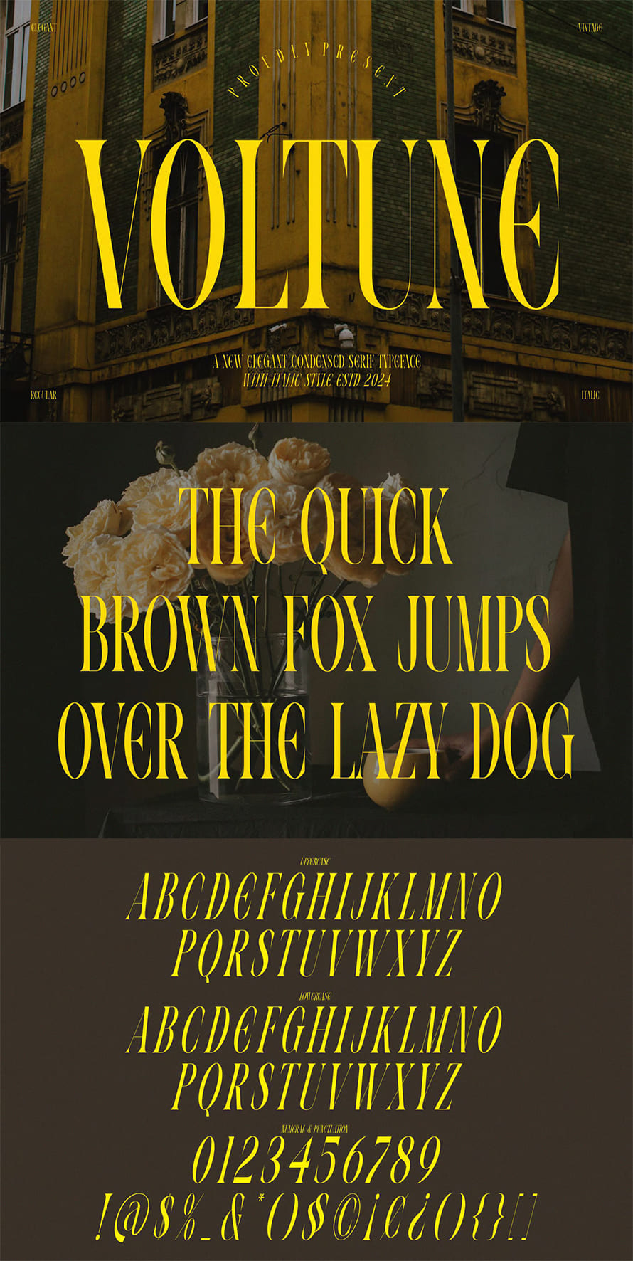 Voltune Elegant Condensed Serif Font