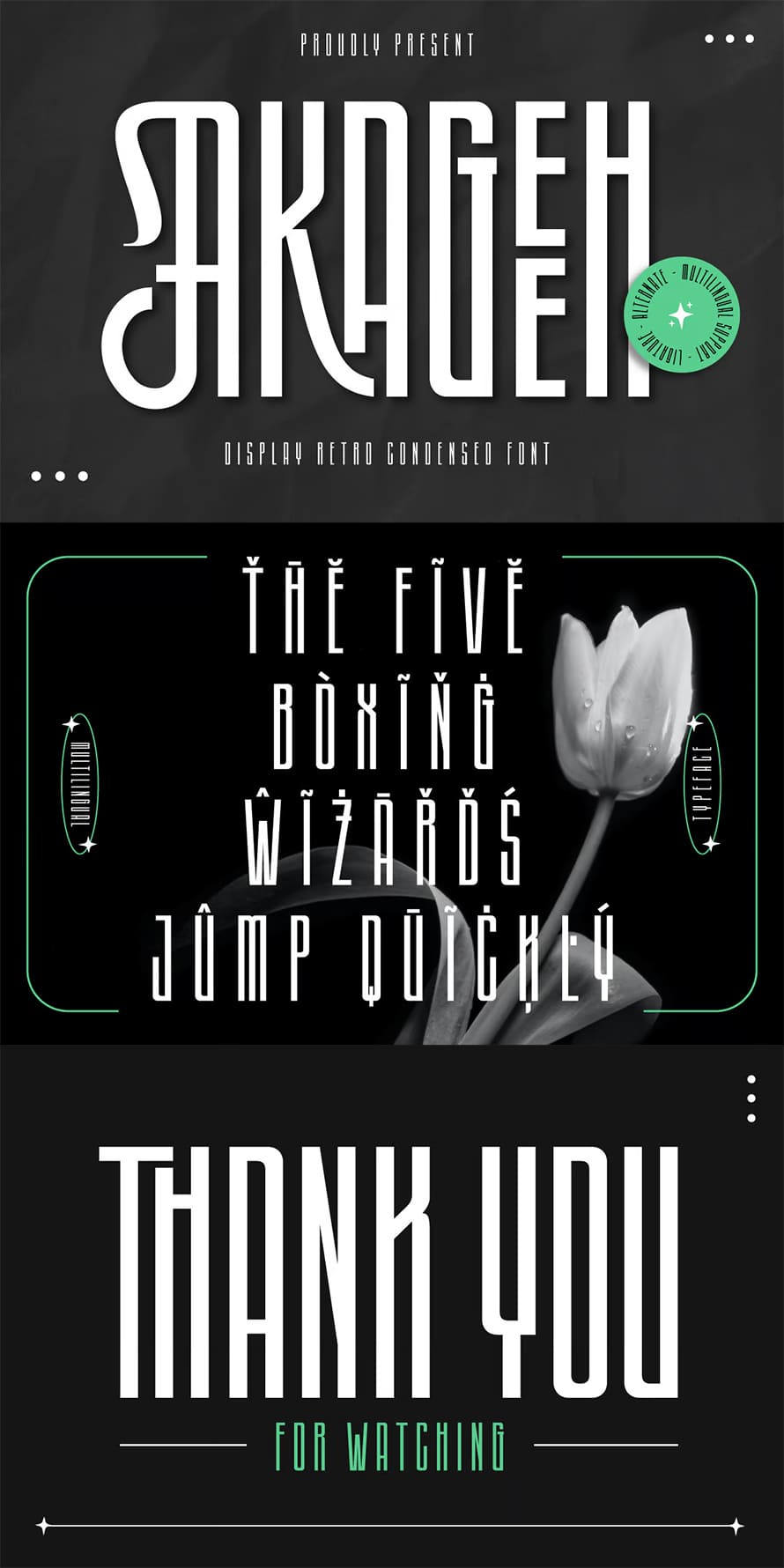 Akageeh Retro Condensed Font