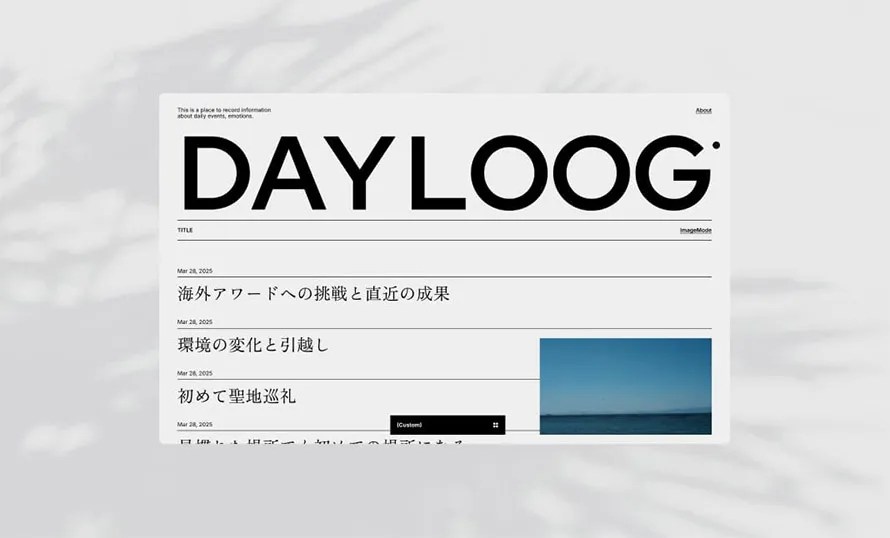 DayLoog Website Design