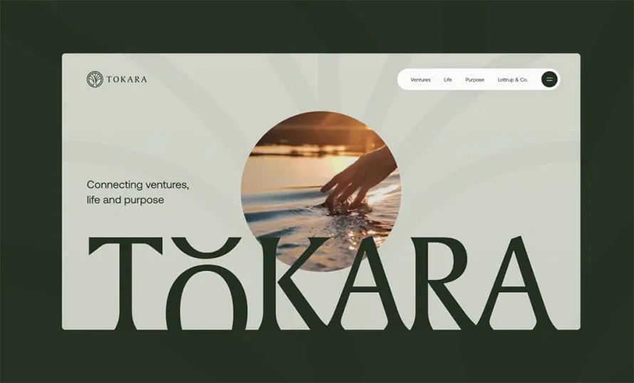 Tokara Ventures Website Design