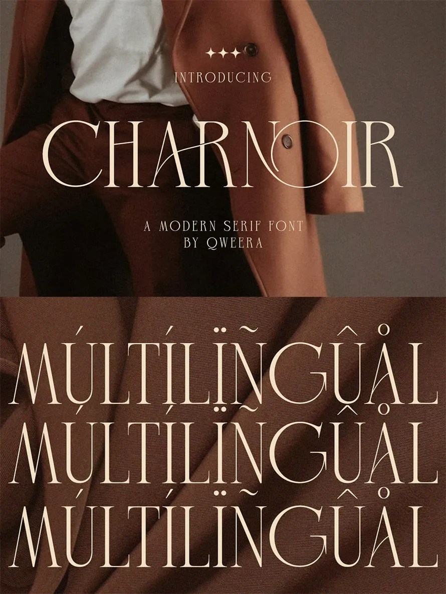Charnoir Modern Elegant Luxury Logo Font