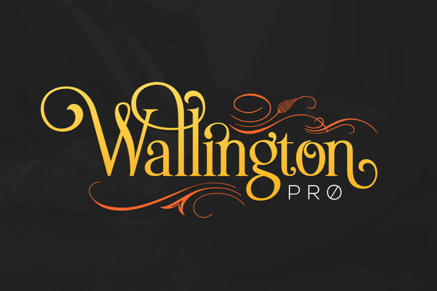 elegant serif font