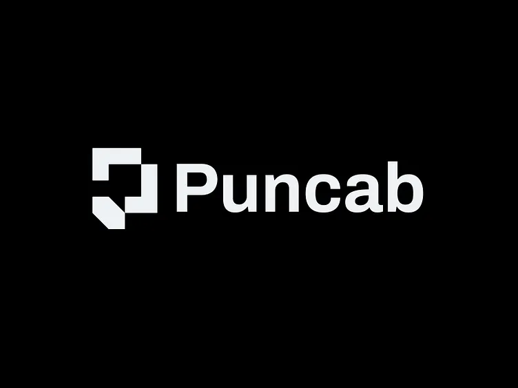 Logo design / Letter P by Anik Khandaker® - Logo Designer