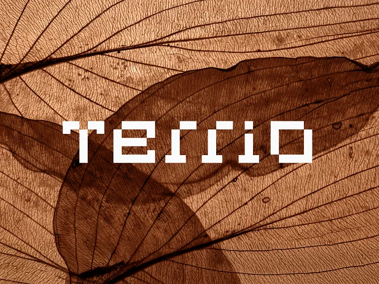LOGO - TERRIO by Matthieu Martigny / Mattmart LOGO - TERRIO by Matthieu Martigny / Mattmart