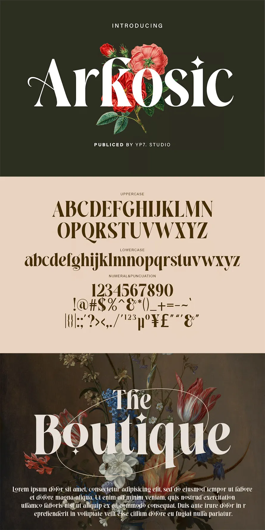 Elegant Luxury Serif Font