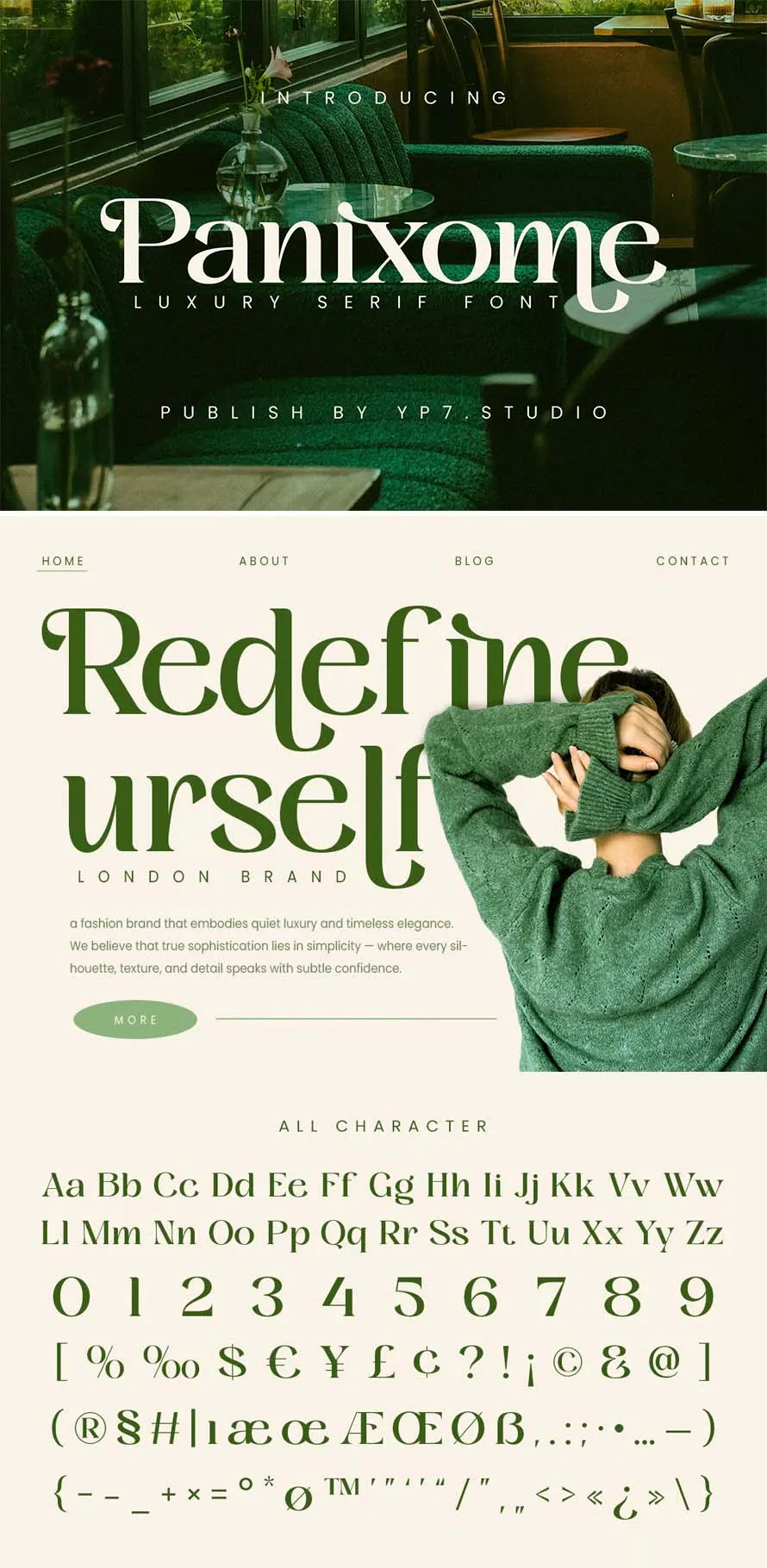 Luxury Serif Font - Panixome