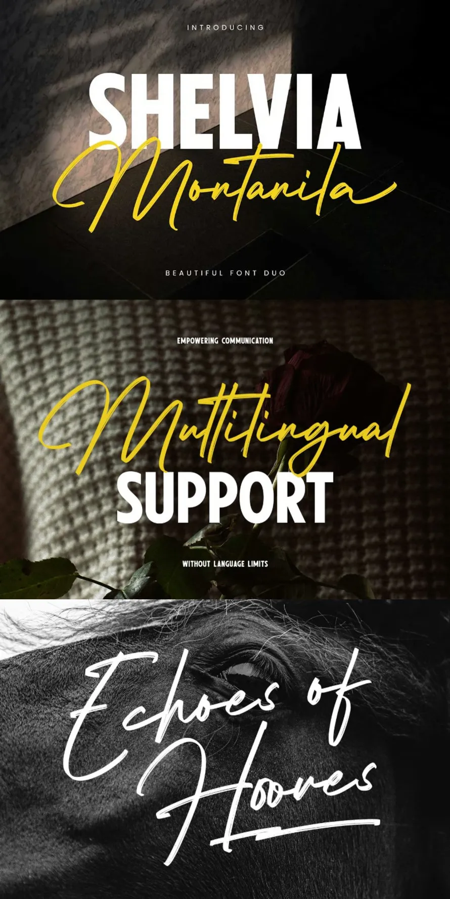 Shelvia Montanila - Beauty Font Duo Shelvia Montanila - Beauty Font Duo