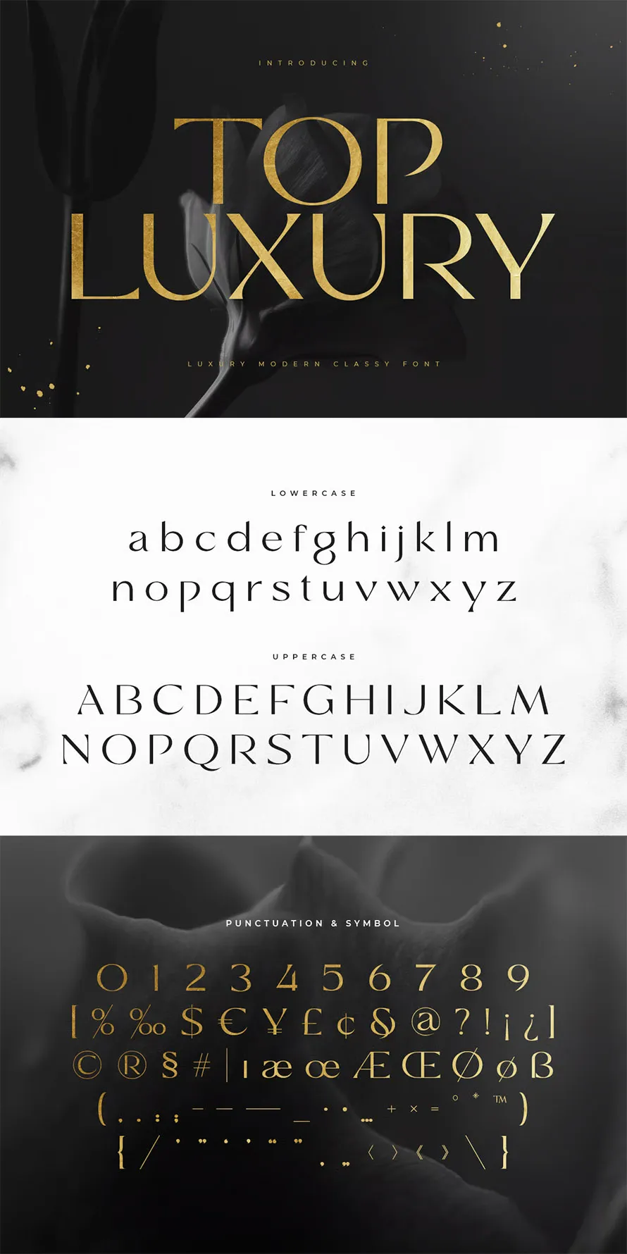 Top Luxury - Luxury Modern Classy Font
