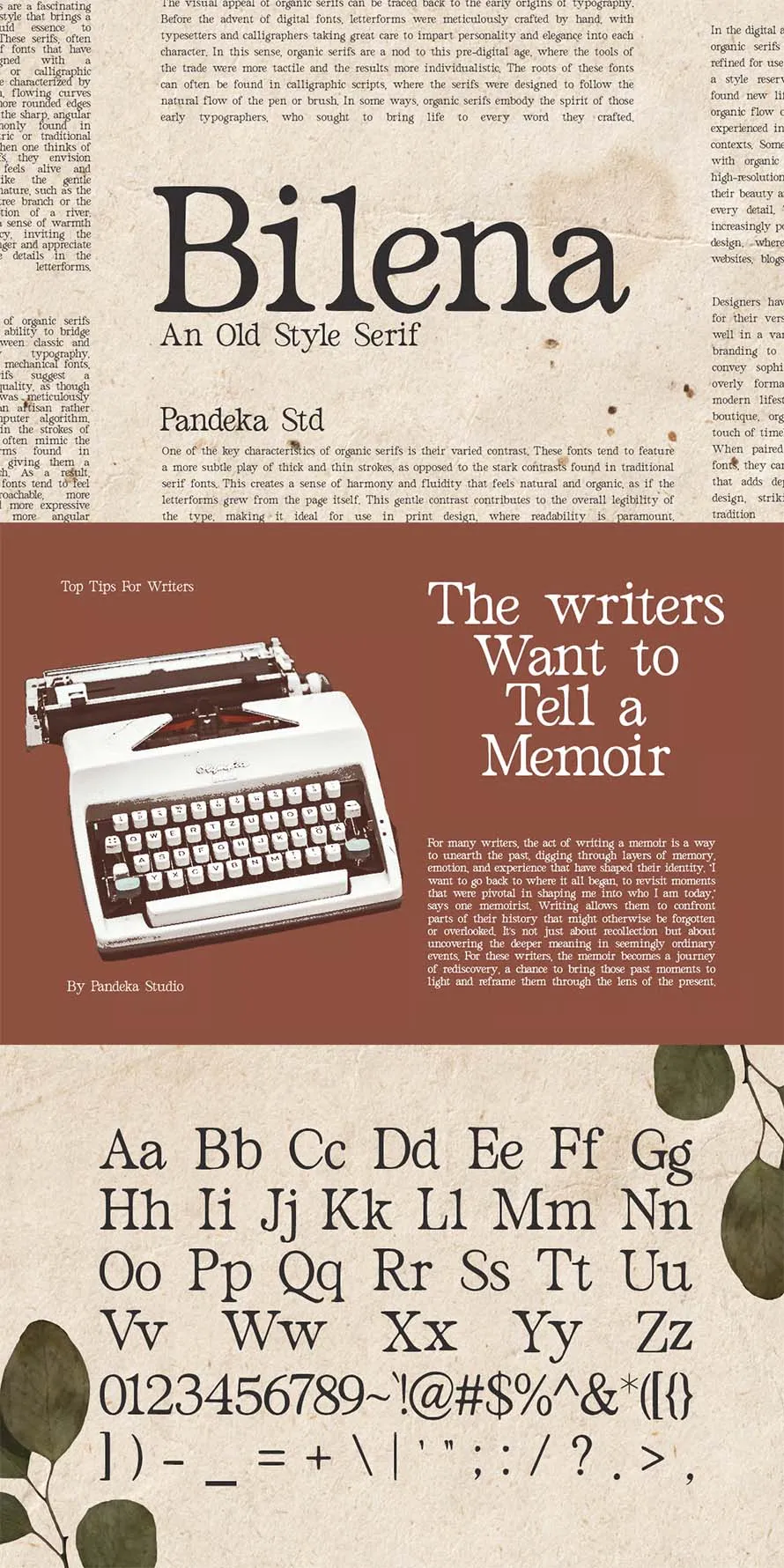 Old Style Serif - Bilena Old Style Serif - Bilena