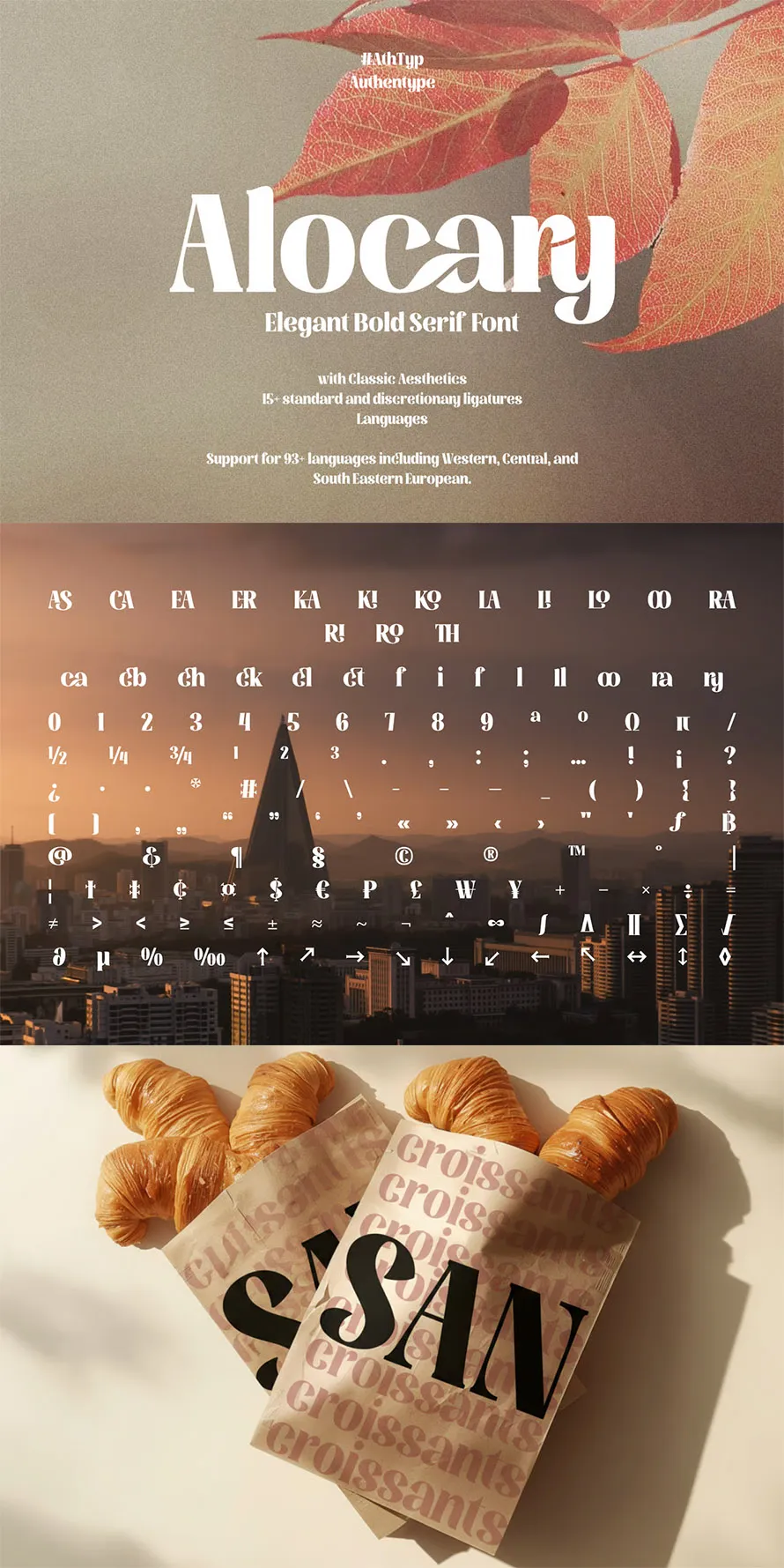 Alocary Modern Serif Alocary Modern Serif