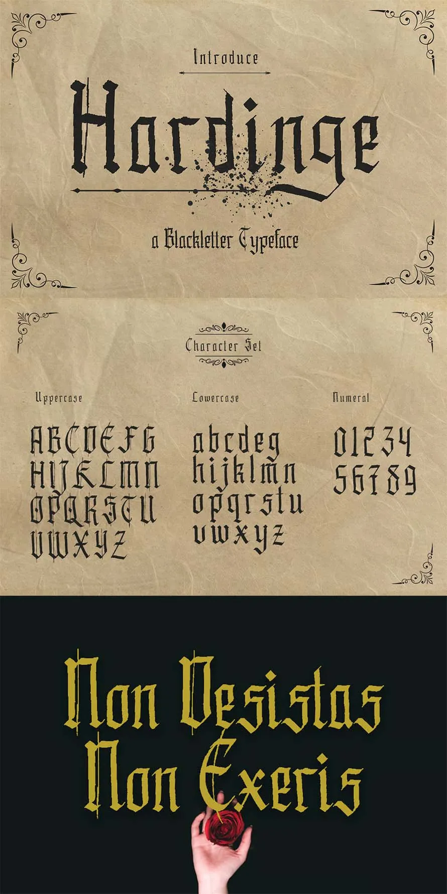 Hardinge - Blackletter Style Typeface