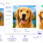 How to Upscale Images and Remove Backgrounds with the Creative Fabrica Studio Desktop AI Tool